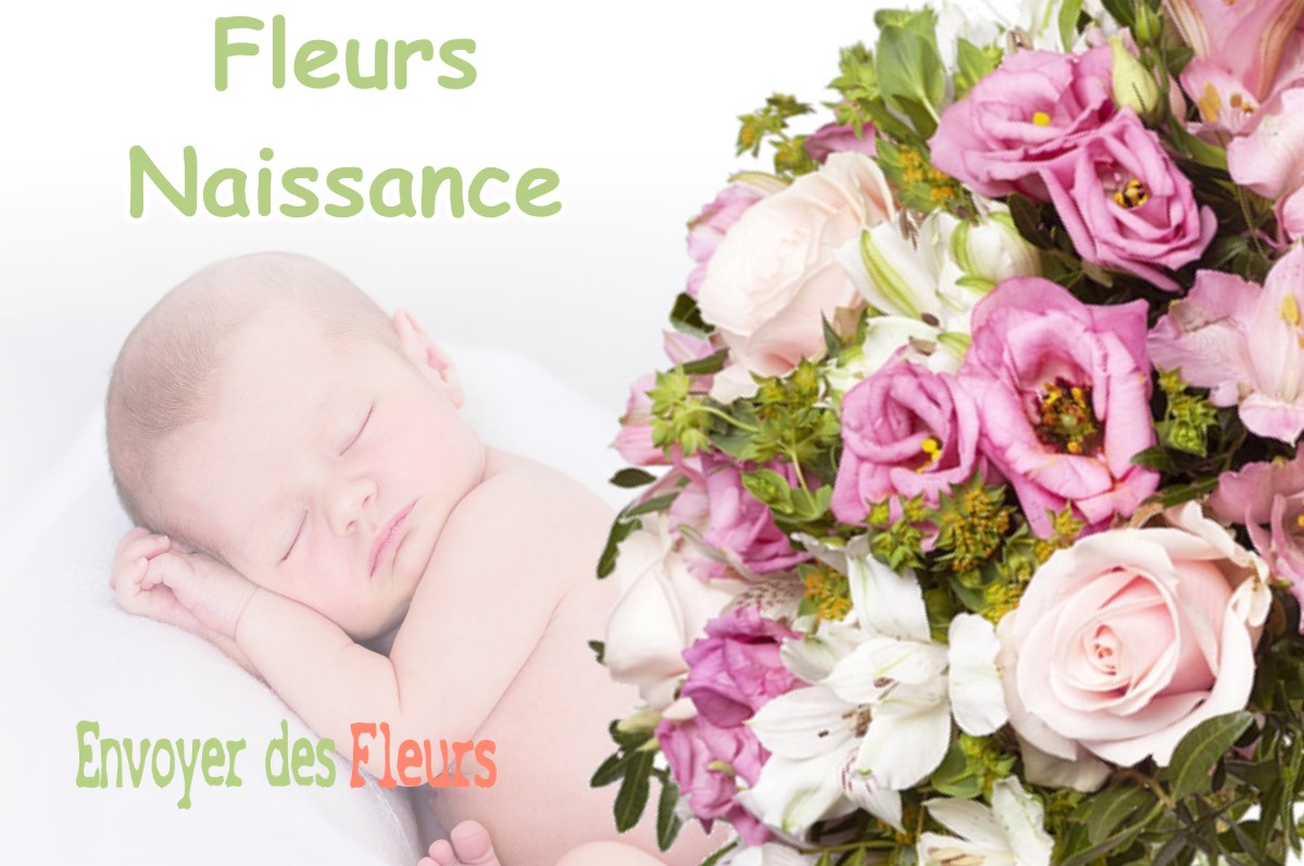 lIVRAISON FLEURS NAISSANCE à CAZARIL-LASPENES